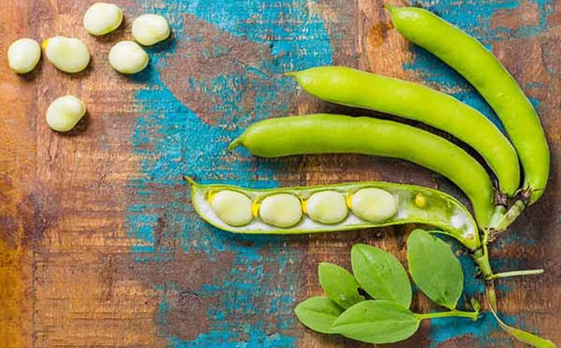 باقالی و لاغری؛ نقش این حبوبه مغذی در رژیم‌های غذایی